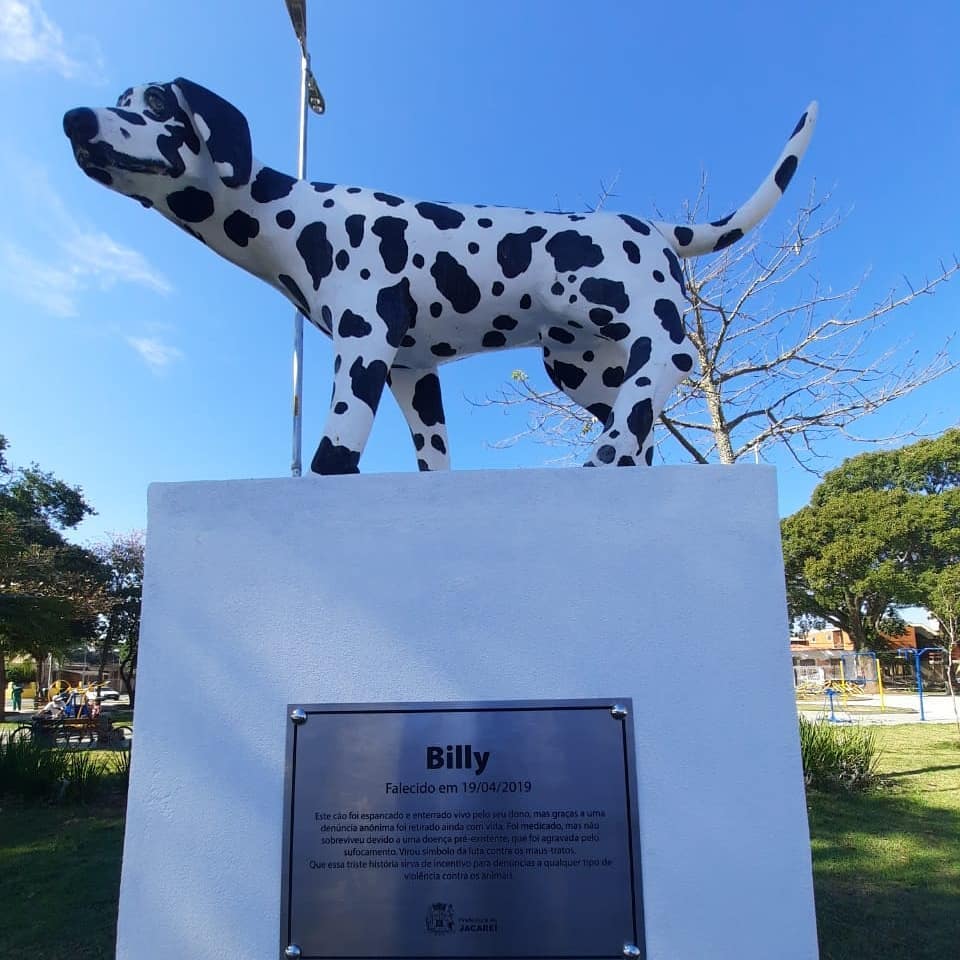 No ano passado, a história do cão dálmata Billy sensibilizou grande parte da comunidade local